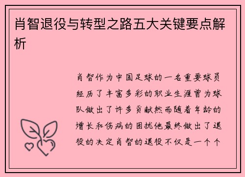 肖智退役与转型之路五大关键要点解析